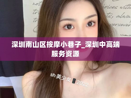 深圳南山区按摩小巷子_深圳中高端服务资源