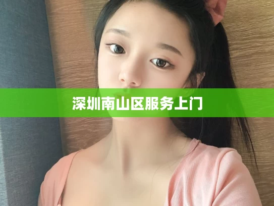 深圳南山区服务上门