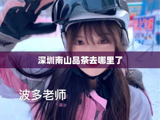 深圳南山品茶去哪里了