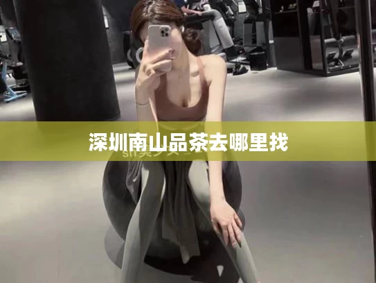 深圳南山品茶去哪里找