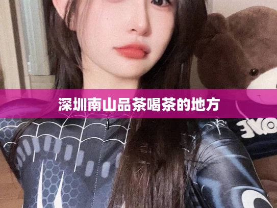 深圳南山品茶喝茶的地方