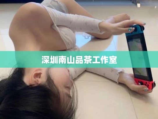 深圳南山品茶工作室