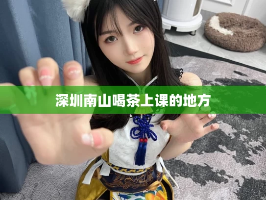 深圳南山喝茶上课的地方	