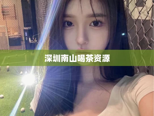 深圳南山喝茶资源