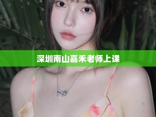 深圳南山嘉禾老师上课