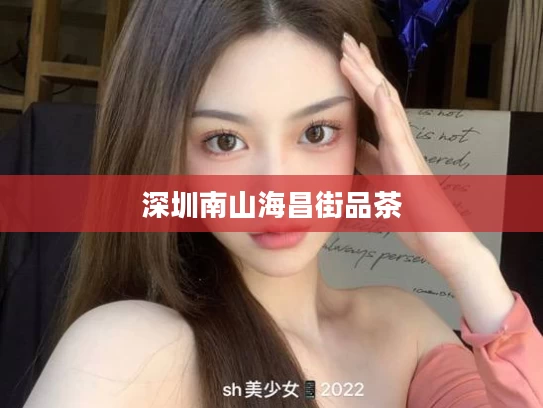 深圳南山海昌街品茶
