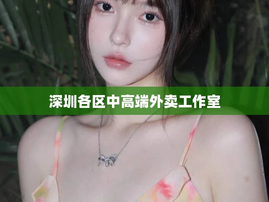深圳各区中高端外卖工作室