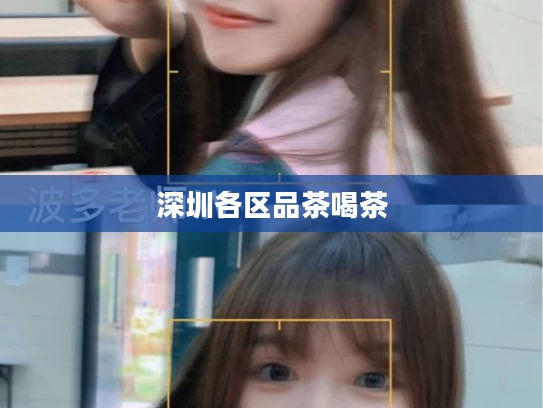 深圳各区品茶喝茶