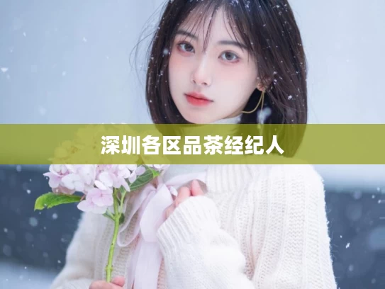 深圳各区品茶经纪人