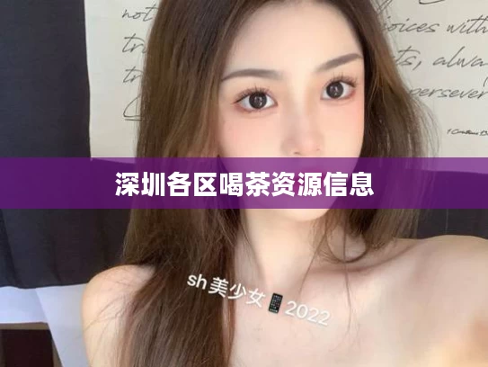 深圳各区喝茶资源信息