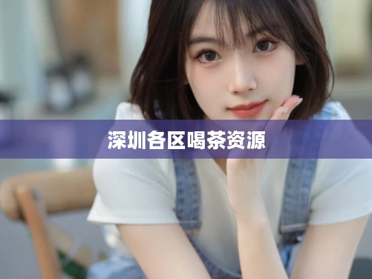 深圳各区喝茶资源