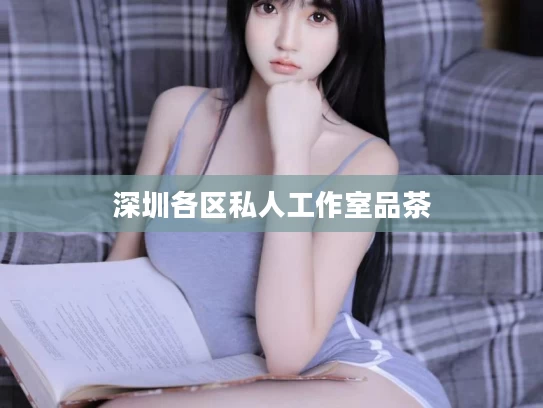 深圳各区私人工作室品茶