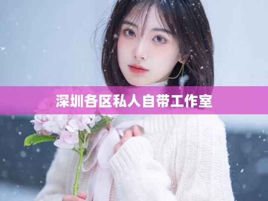 深圳各区私人自带工作室	