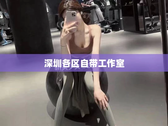 深圳各区自带工作室