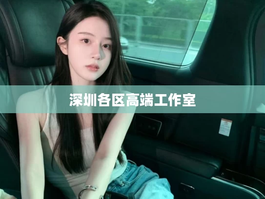 深圳各区高端工作室	