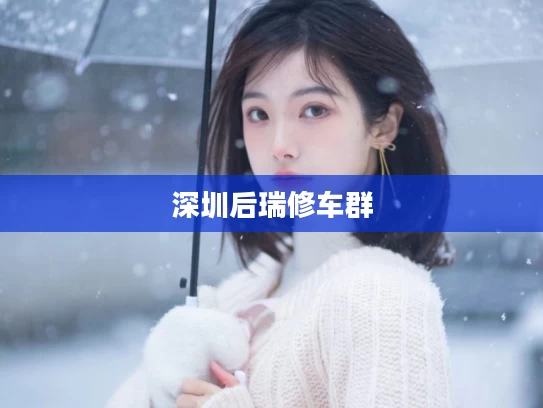 深圳后瑞修车群