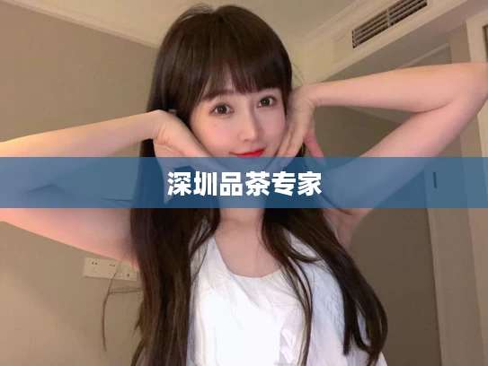 深圳品茶专家