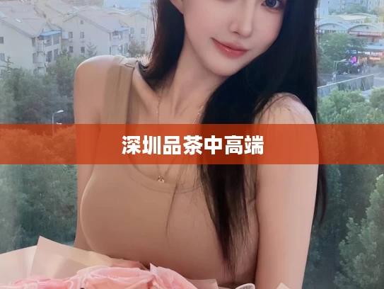 深圳品茶中高端