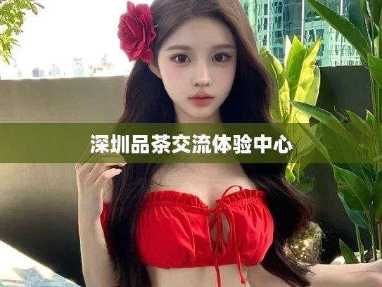 深圳品茶交流体验中心