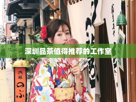 深圳品茶值得推荐的工作室	
