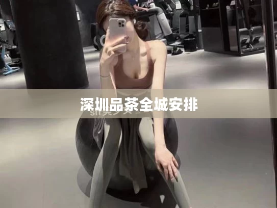 深圳品茶全城安排