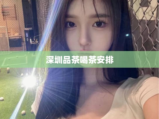 深圳品茶喝茶安排