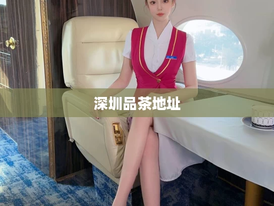深圳品茶地址
