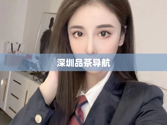 深圳品茶导航