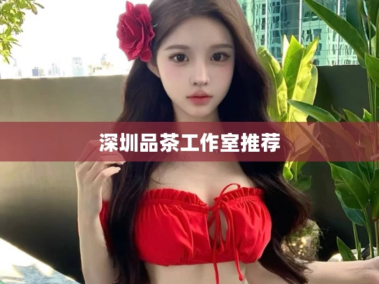 深圳品茶工作室推荐
