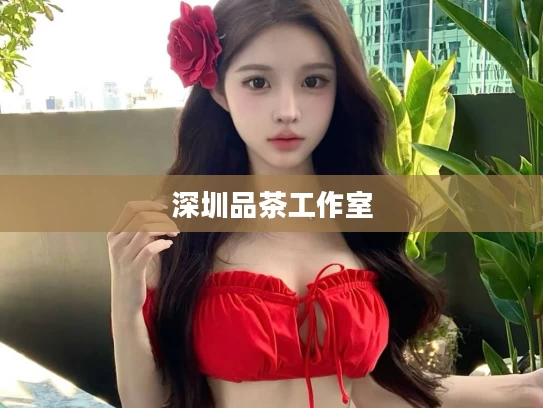 深圳品茶工作室