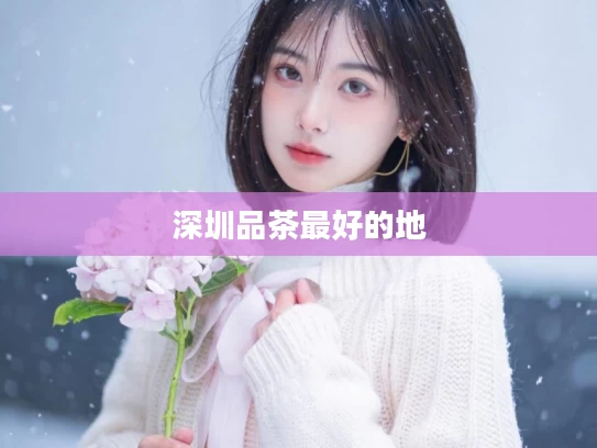 深圳品茶最好的地