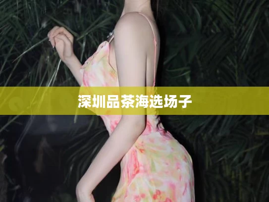 深圳品茶海选场子