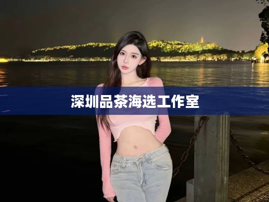 深圳品茶海选工作室