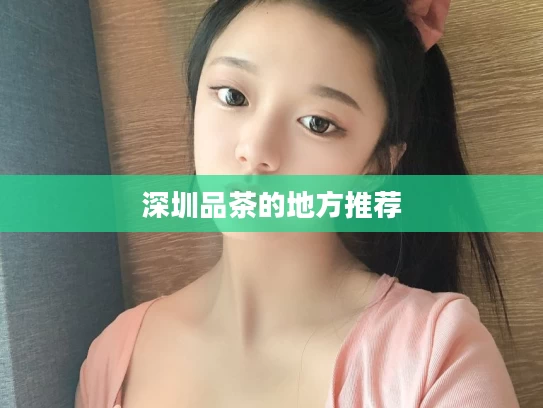 深圳品茶的地方推荐