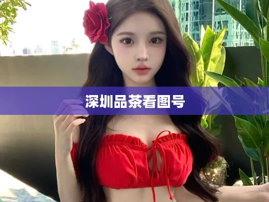 深圳品茶看图号