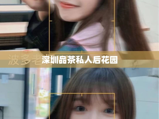深圳品茶私人后花园