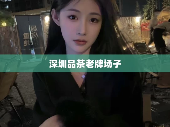 深圳品茶老牌场子