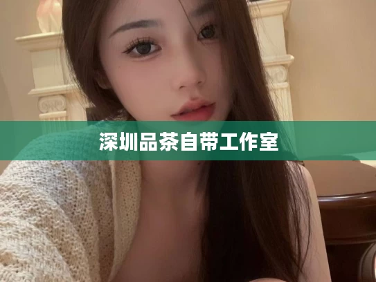 深圳品茶自带工作室