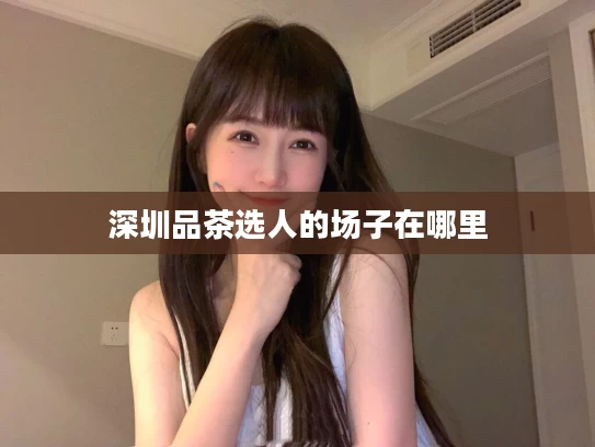深圳品茶选人的场子在哪里