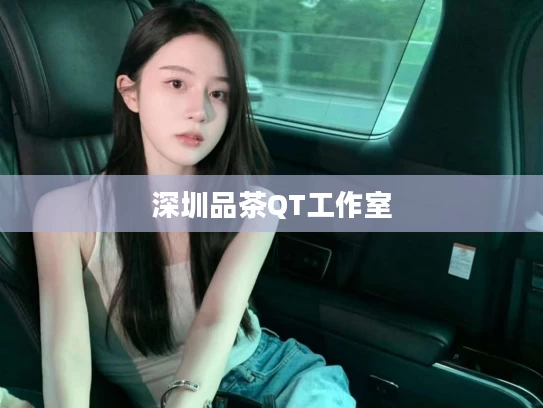 深圳品茶QT工作室