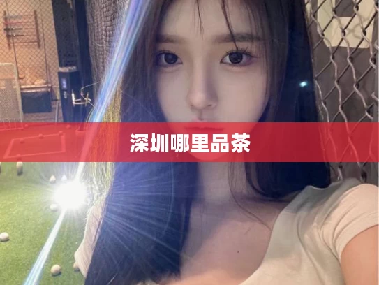 深圳哪里品茶