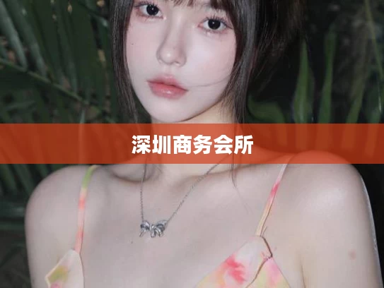 深圳商务会所