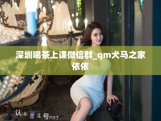 深圳喝茶上课微信群_qm犬马之家依依