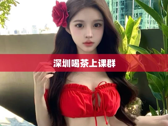 深圳喝茶上课群