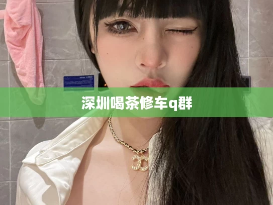 深圳喝茶修车q群