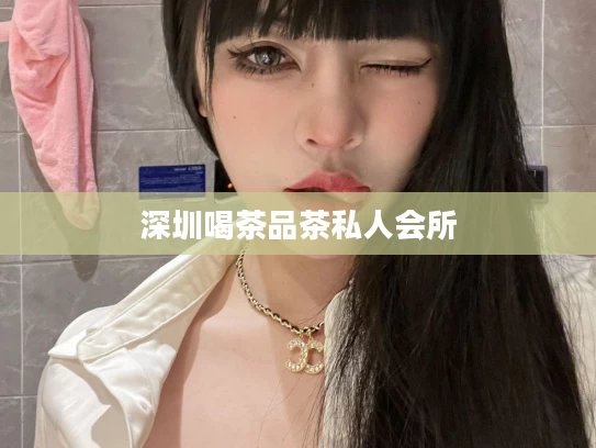 深圳喝茶品茶私人会所