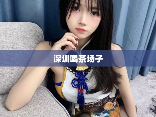深圳喝茶场子