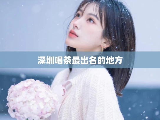 深圳喝茶最出名的地方