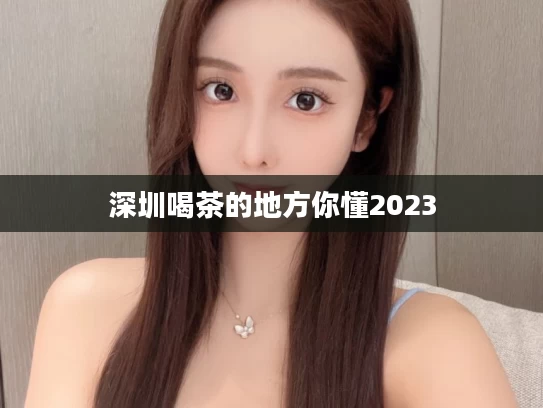 深圳喝茶的地方你懂2023