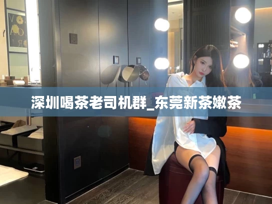深圳喝茶老司机群_东莞新茶嫩茶